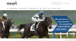 Desktop Screenshot of mespilgroup.com