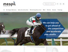 Tablet Screenshot of mespilgroup.com